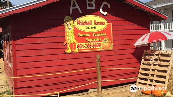 Mitchell Farms Peanut Farm open Aug- Oct and Pumpkin Patch open Sept 27-Nov 2; Sat 9-6 and Sun 1-5