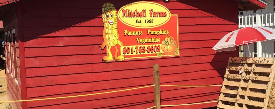 Mitchell Farms Pumpkin Patch open Sept 28- Nov 10 Sat 9-6 and Sun 1-5