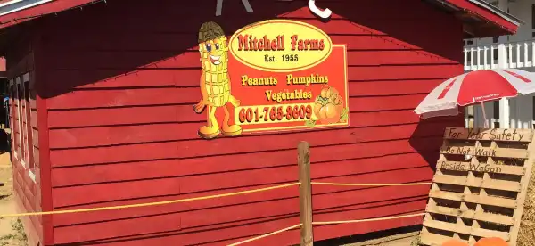 Hotels in Covington County