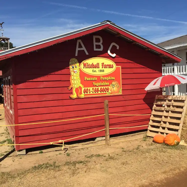 Hotels in Covington County