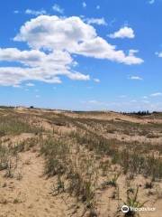 Carberry (Spirit Sands) Desert