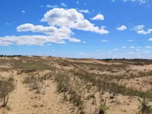 Carberry (Spirit Sands) Desert