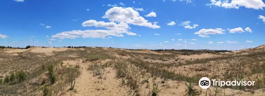 Carberry (Spirit Sands) Desert