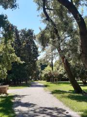 Parco dei Faggi