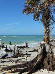 Stump Pass Beach State Park