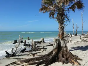 parc d'État Stump Pass Beach