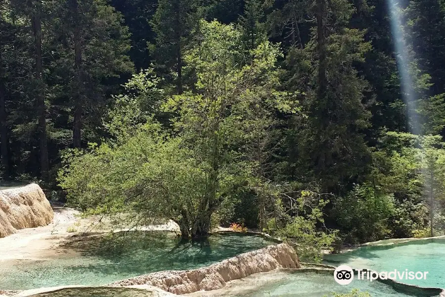 Wanglongshan National Forest Park