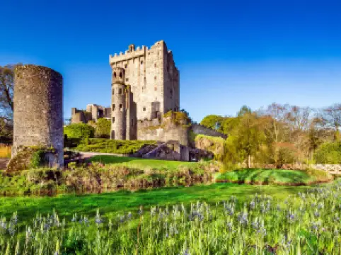 Blarney Stone