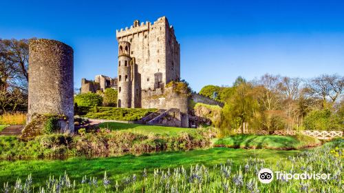 Blarney Stone