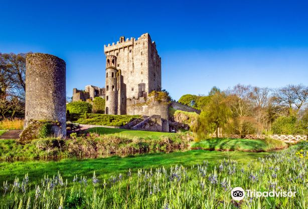 Blarney Stone