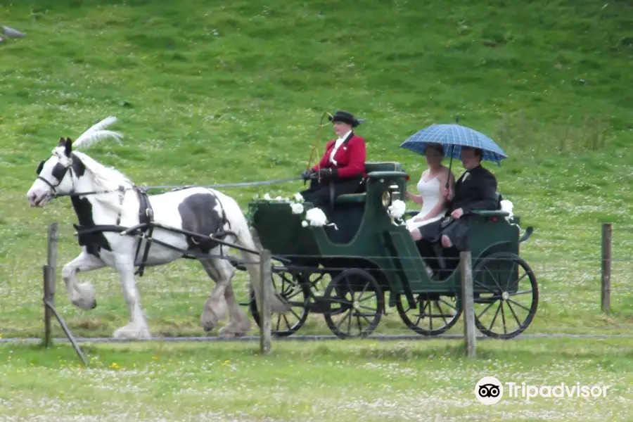 Carrbridge Carriage Driving