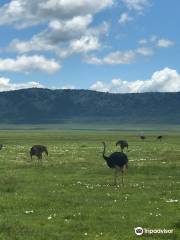 Moorland Safari and Trekking