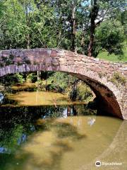 Puente Medieval de Suils