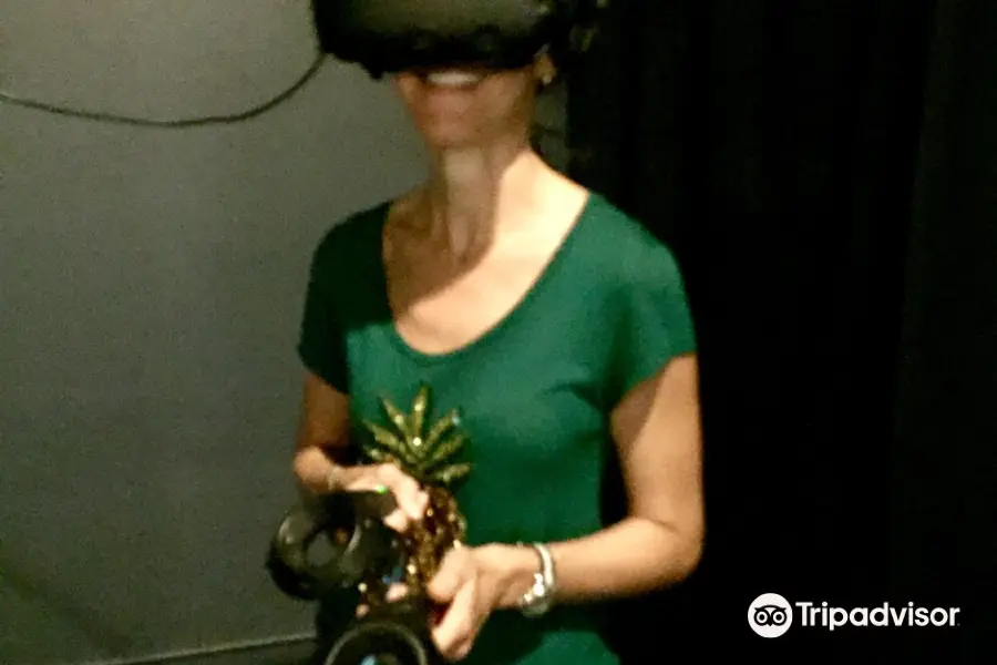 Voxel Virtual Reality Parlour