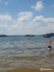 lago Guntersville