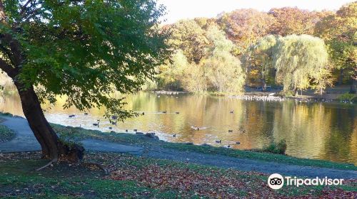 Tibbetts Brook Park