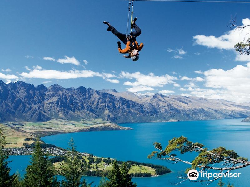 Ziptrek Ecotours生態高空滑索