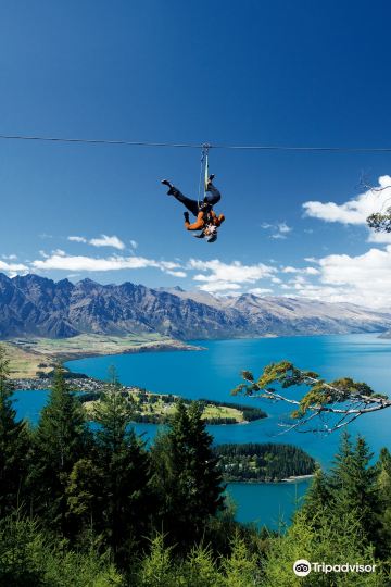Ziptrek Ecotours