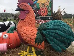 Hank's Pumpkintown