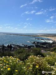 Mirador Punta del Lacho