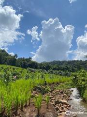 Mondulkiri Adventure Trekking