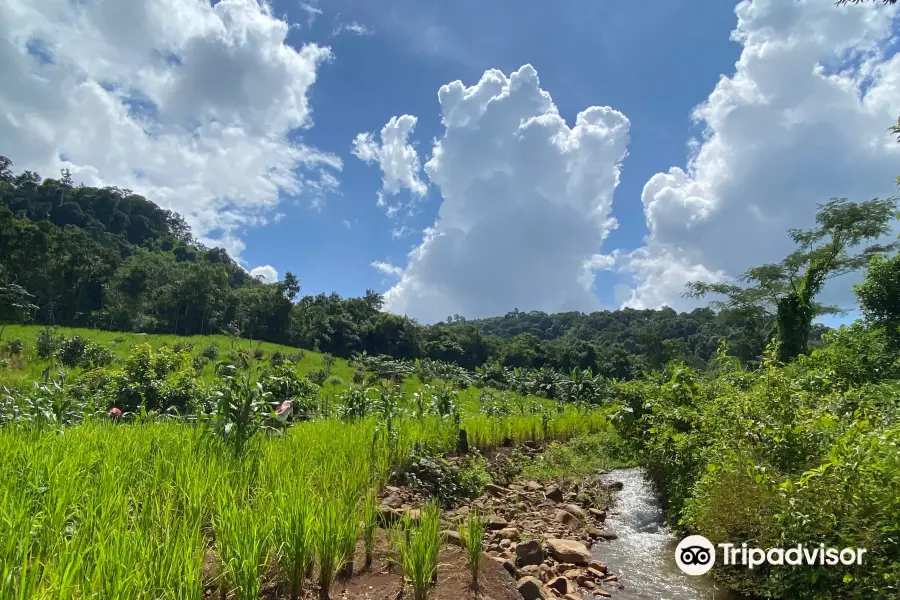 Mondulkiri Adventure Trekking