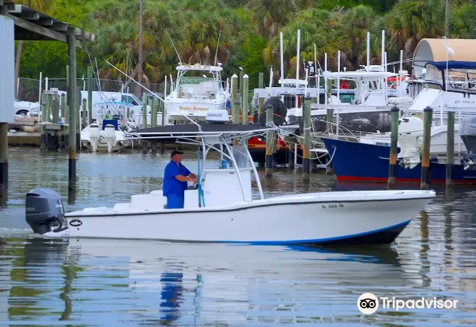 Spanish Sardine Fishing Charter