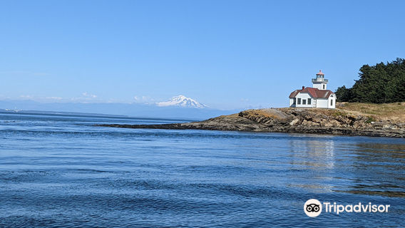 Blackfish Tours by Outer Island Expeditions