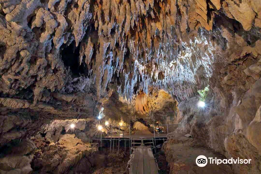 沖縄 CAVE OKINAWA【鍾乳洞】入場Eチケット 予約