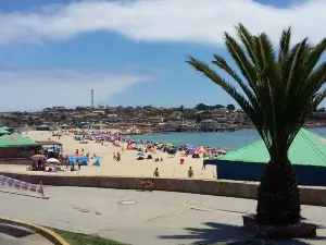 Playa El Quisco