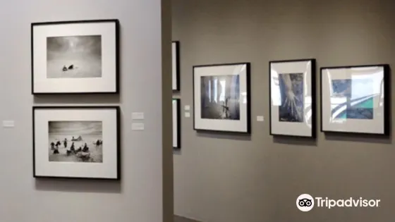 Peter Fetterman Photographic