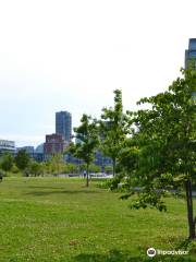 Corktown Common