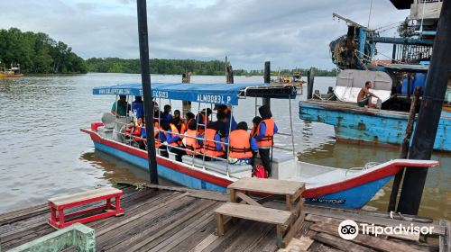 Matang Mangrove Forest Reserve Eco Park