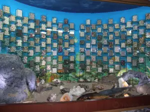 화진포 해양박물관