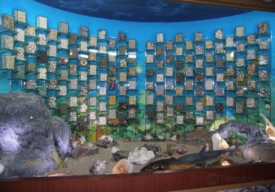 Hwajinpo Aquarium