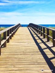 Alvor Boardwalk