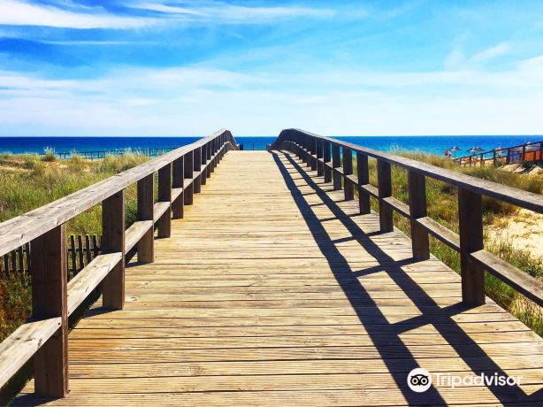 Alvor Boardwalk