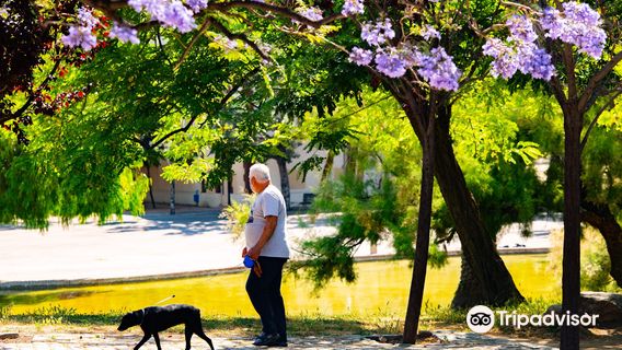 Parc de Can Mercader