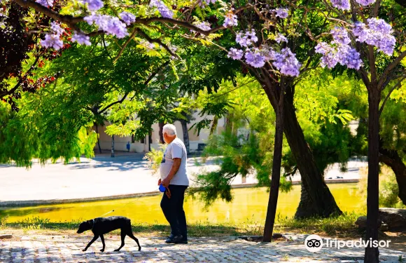 科爾內拉德羅佈雷加特