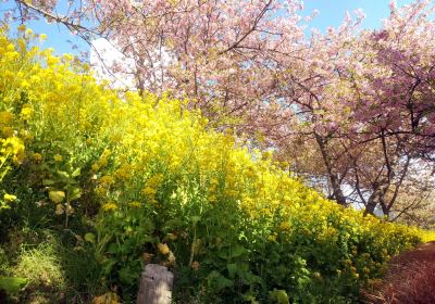 西平畑公園