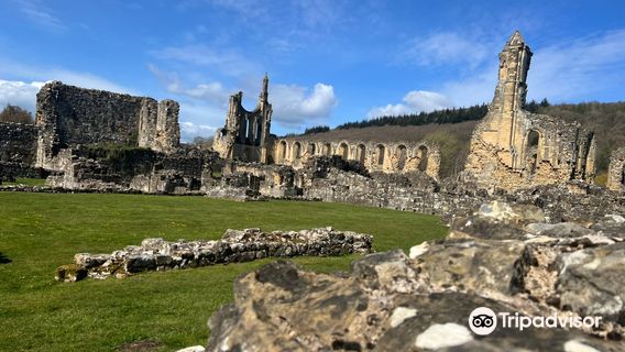Byland Abbey