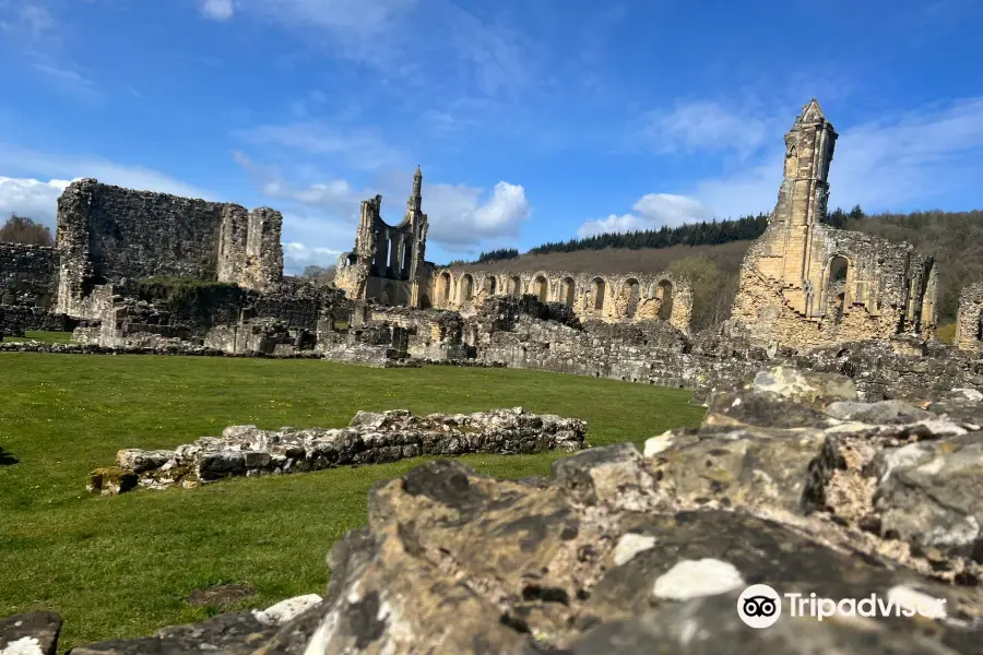 Byland Abbey