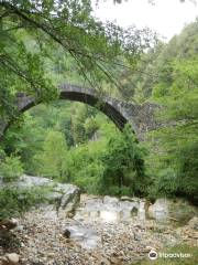 Ponte Della Pia