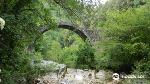 Ponte Della Pia