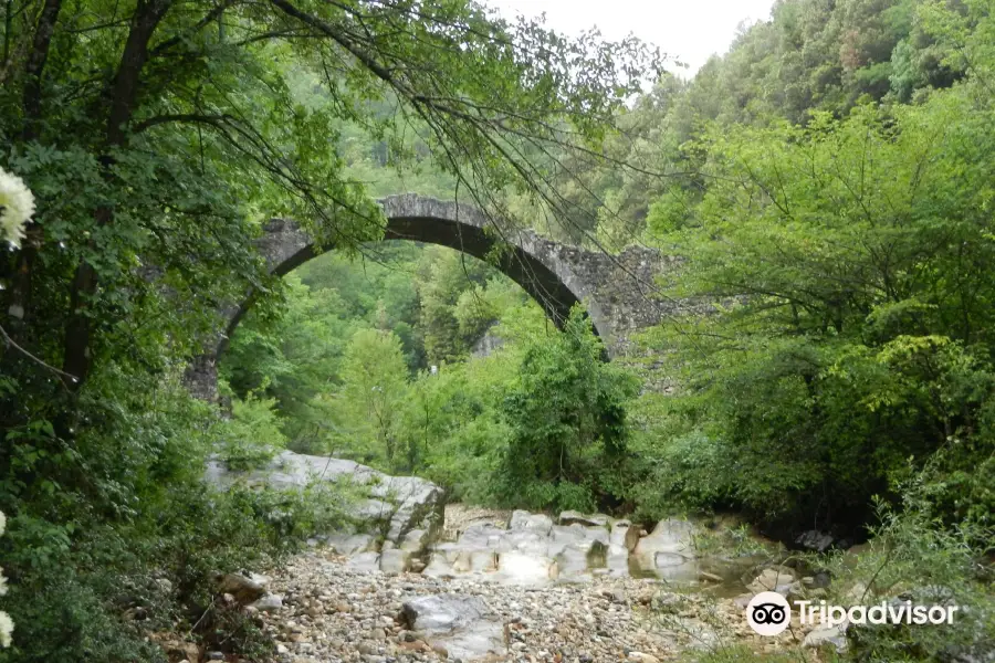 Ponte Della Pia