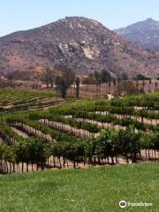 Orfila Vineyard & Winery