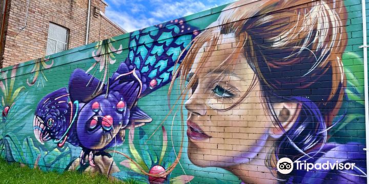Katoomba Street Art Walk