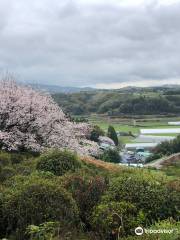 Tabaruzaka Park