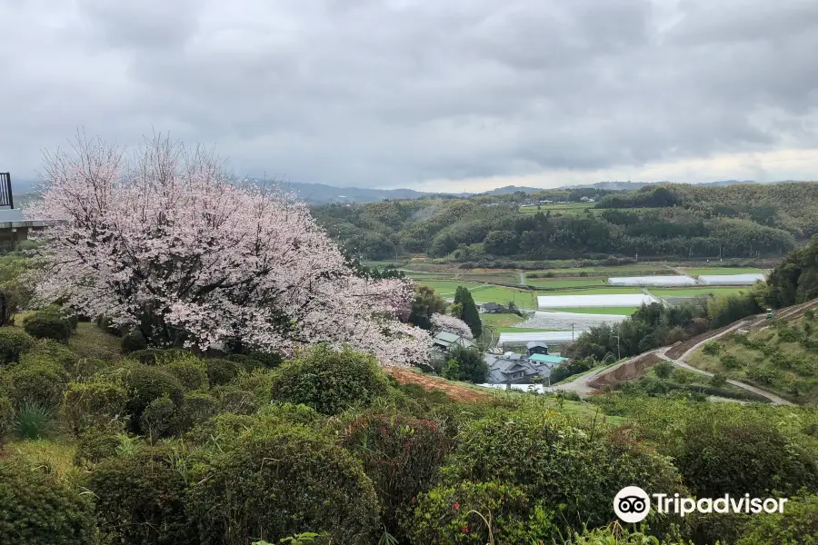 Tabaruzaka Park