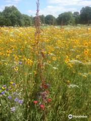 Dulwich Park